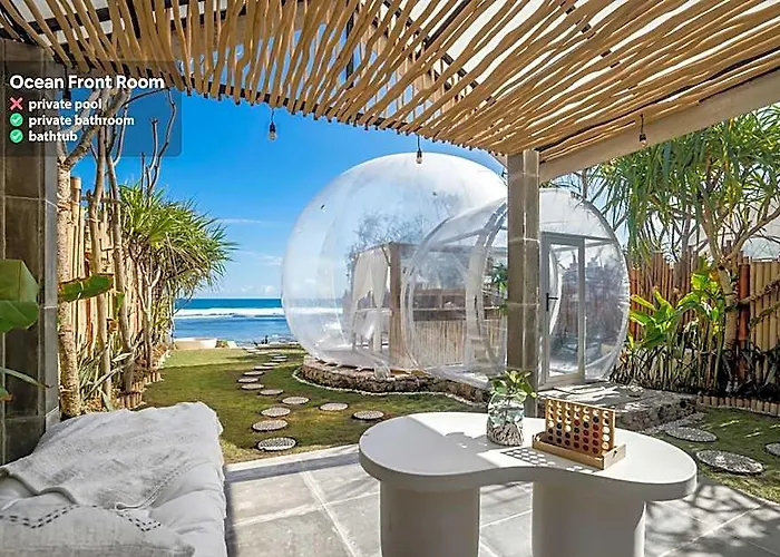 Campo de lujo Bubble Nyang Nyang (adults Only)