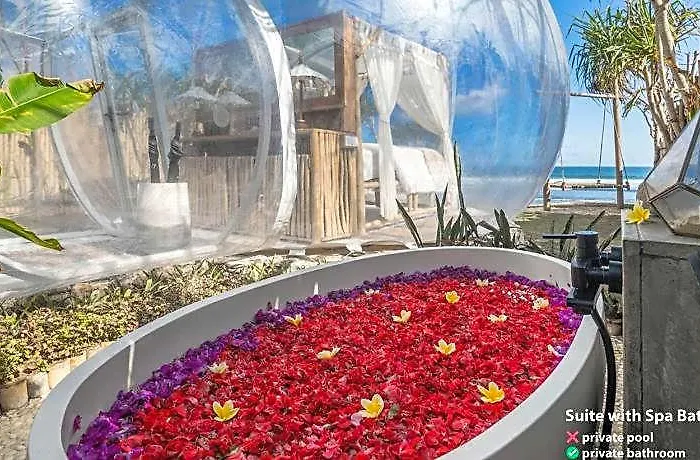 Campo de lujo Bubble Nyang Nyang (adults Only) 4*