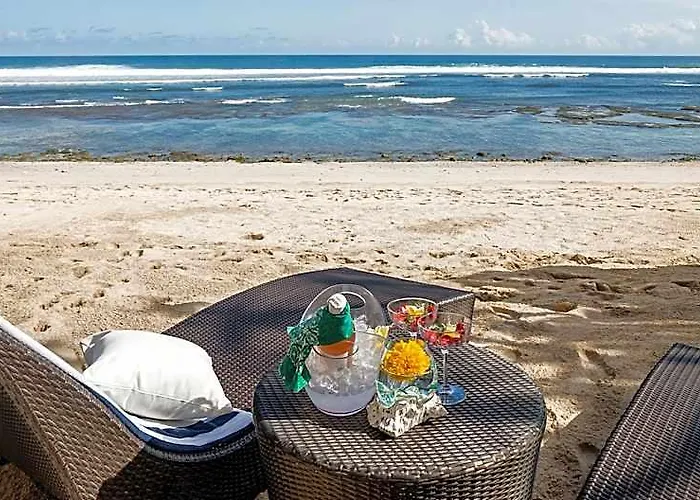 Campo de lujo Bubble Nyang Nyang (adults Only) 4*