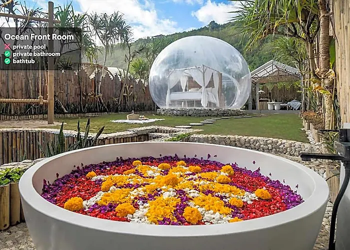 Campo de lujo Bubble Nyang Nyang (adults Only)